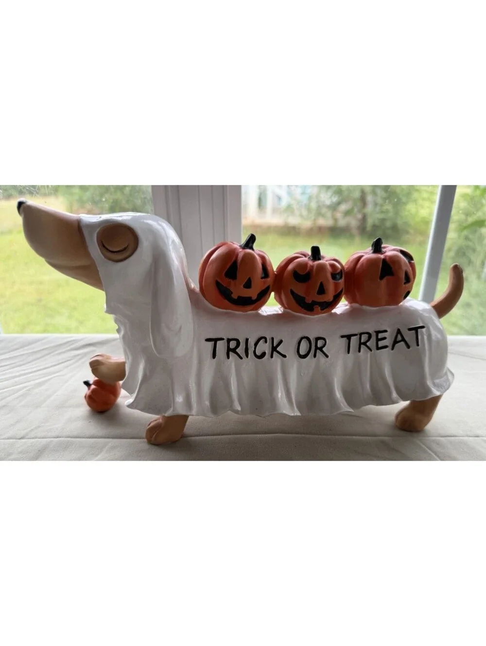 Happy Halloweenie Dachshund Ghost Costume Trick or Treating with Pumpkins
